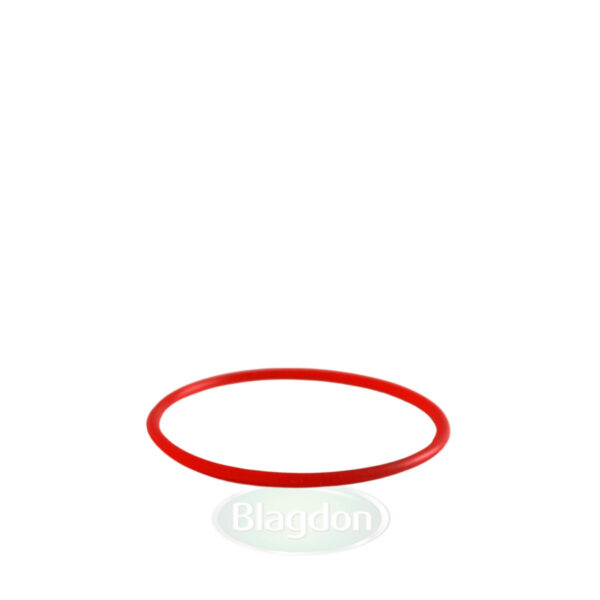 Replacement lens 'O' ring Photech Amphib Light Set