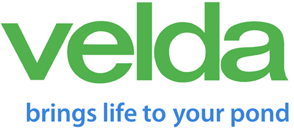 Velda